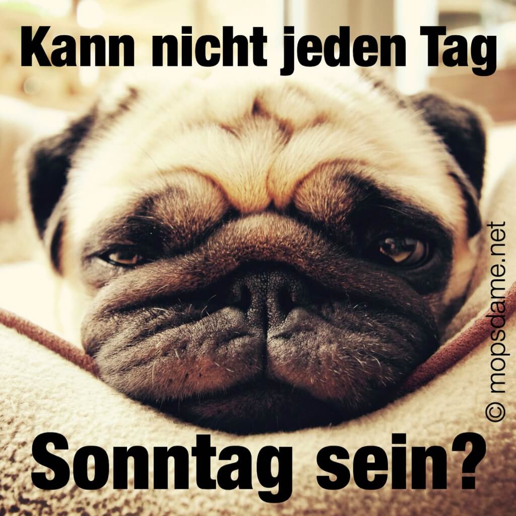 Jeden Tag Sonntag