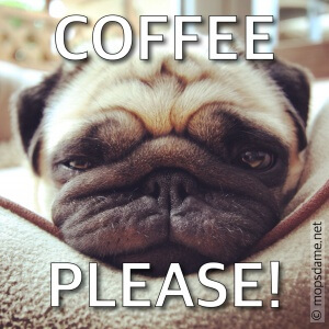 COFFEE PLEASE!